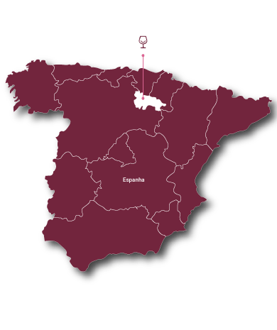 Rioja e Ribera del Duero 
